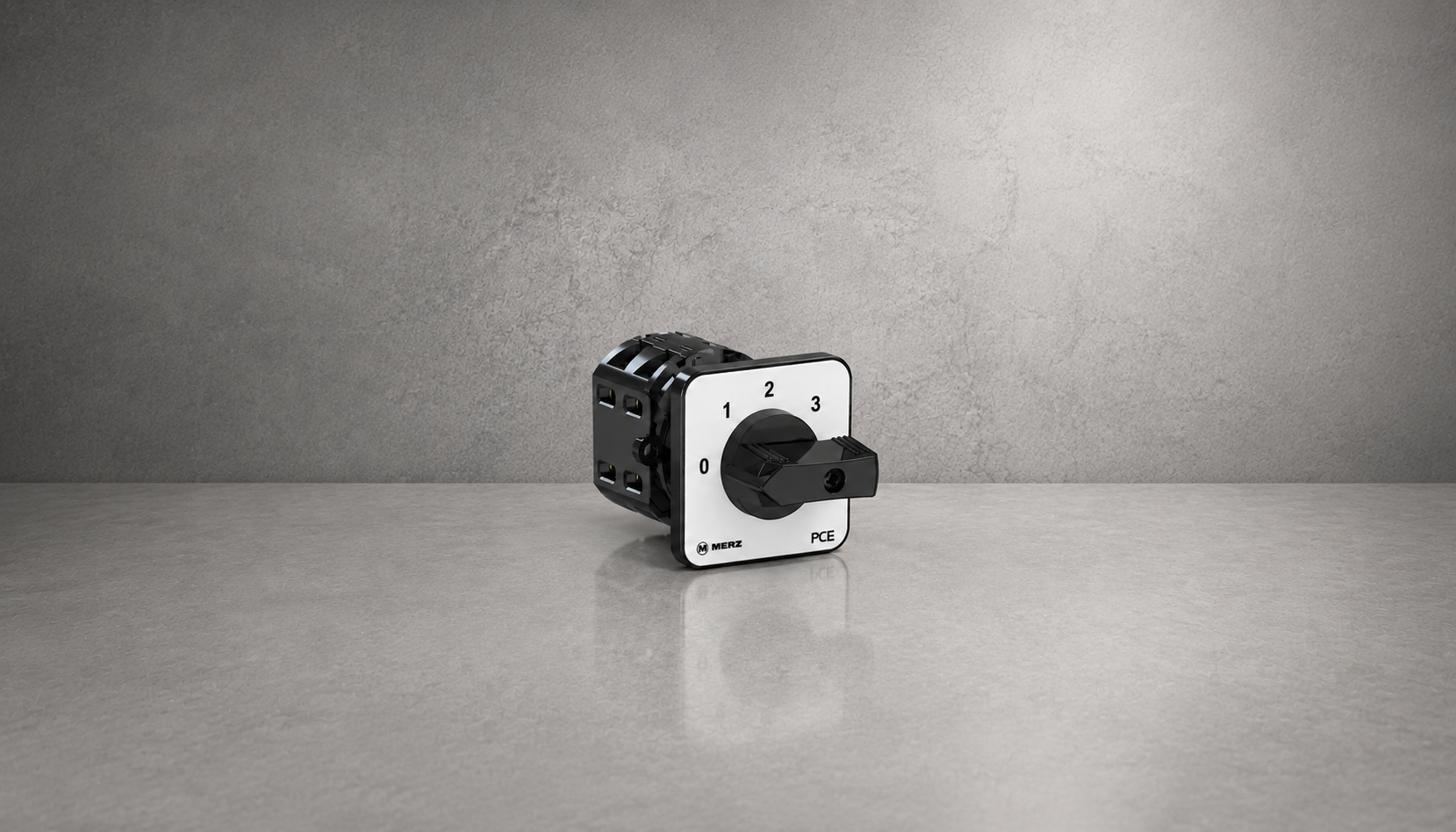 MERZ step switches